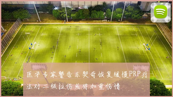 医学专家警告东契奇恢复缓慢PRP疗法对二级拉伤或将加重伤情