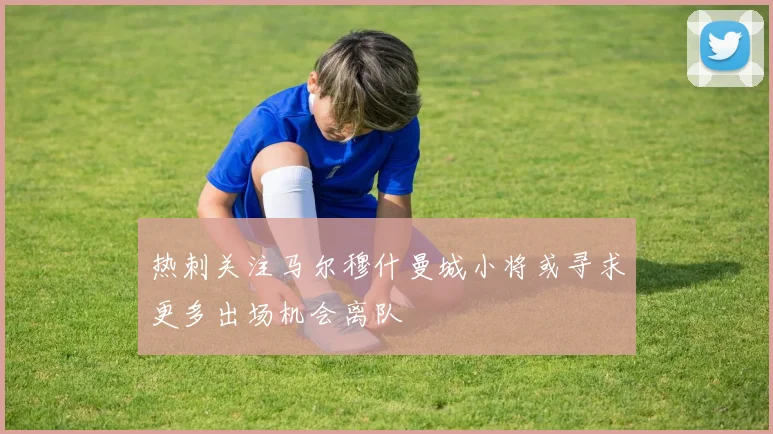 热刺关注马尔穆什曼城小将或寻求更多出场机会离队