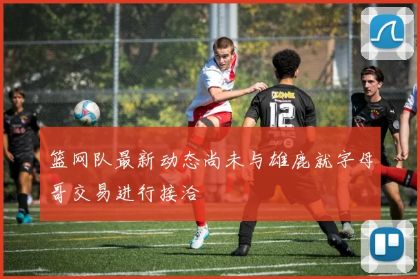篮网队最新动态尚未与雄鹿就字母哥交易进行接洽